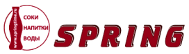 Компания Spring logo